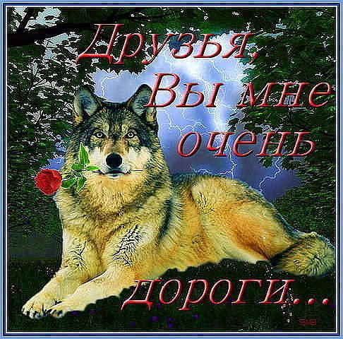 O druzhbe