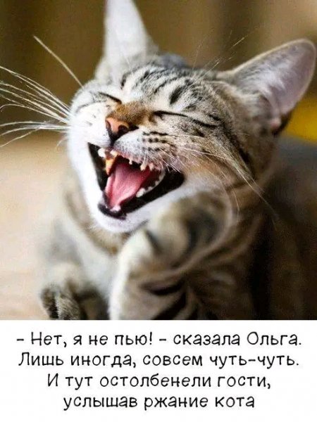 file_103261030