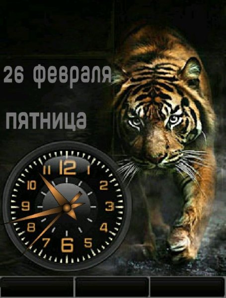 Тигр