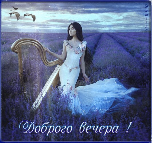 Анимированная открытка доброго вечера (3)