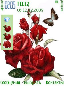 roses-and-butterfly