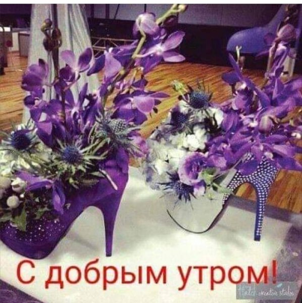 IMG 20190316 174536