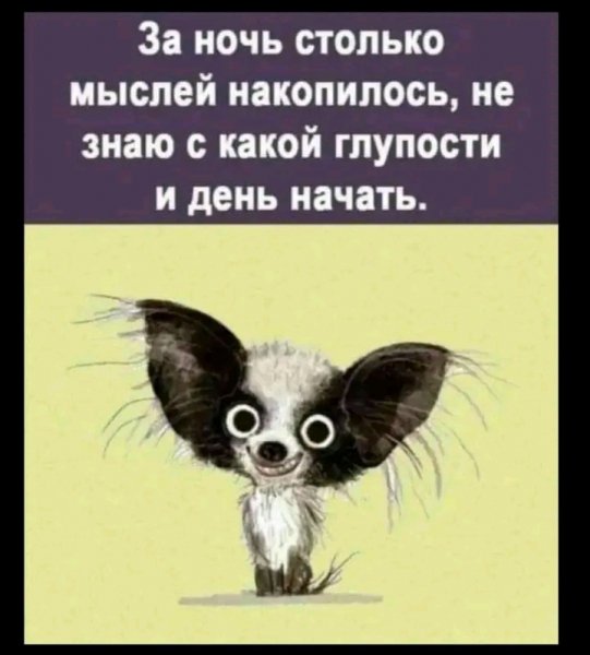 file_103260403