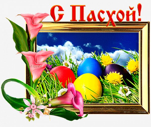file_84183899