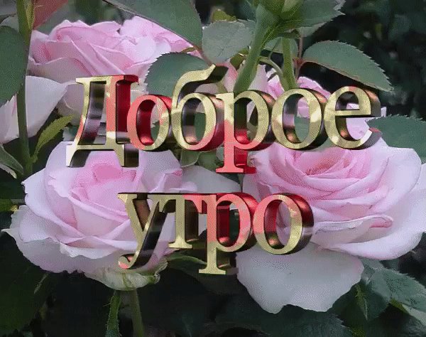 IMG 20180717 144719