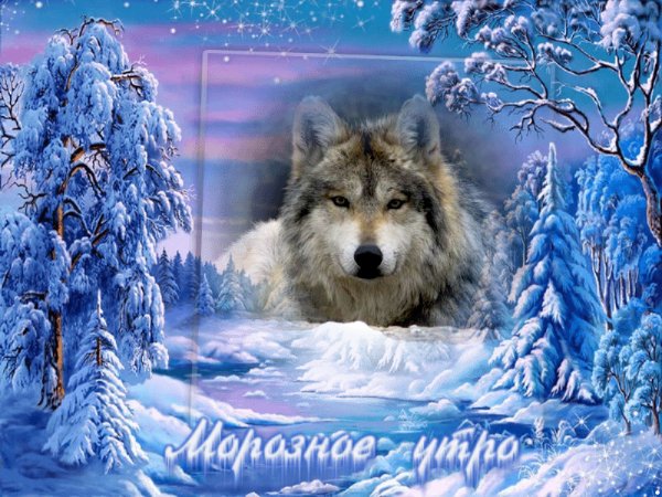 image (48)