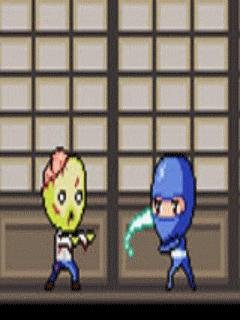 Ninja vs Zombies