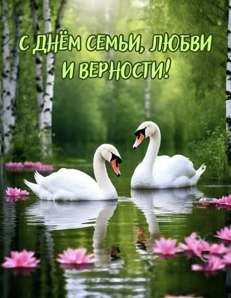 IMG 20260708 090016 768