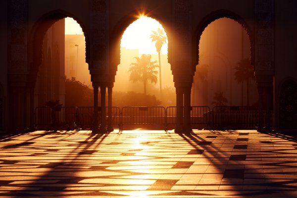 Es-palm-trees-light-shadows-orange-architectural-details