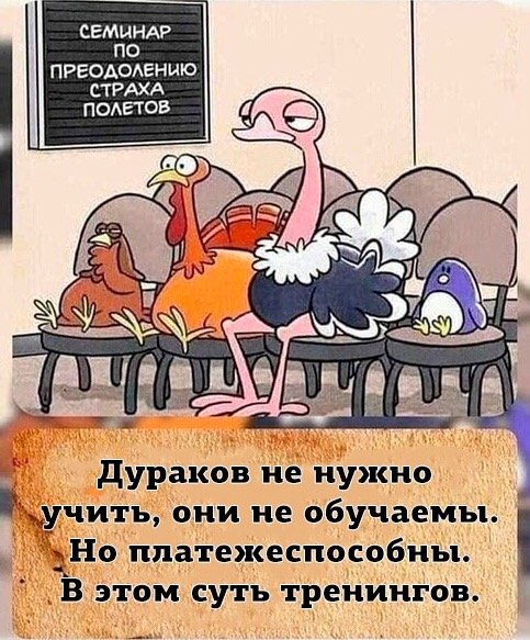 Тренинги и дураки
