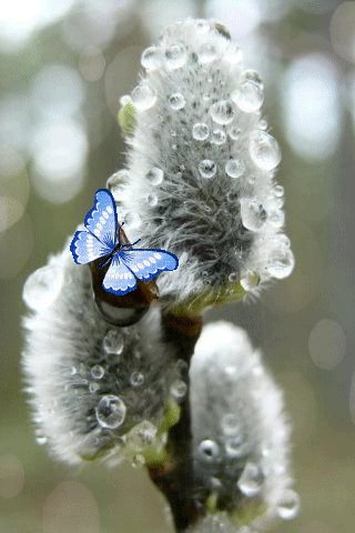 file_96521779