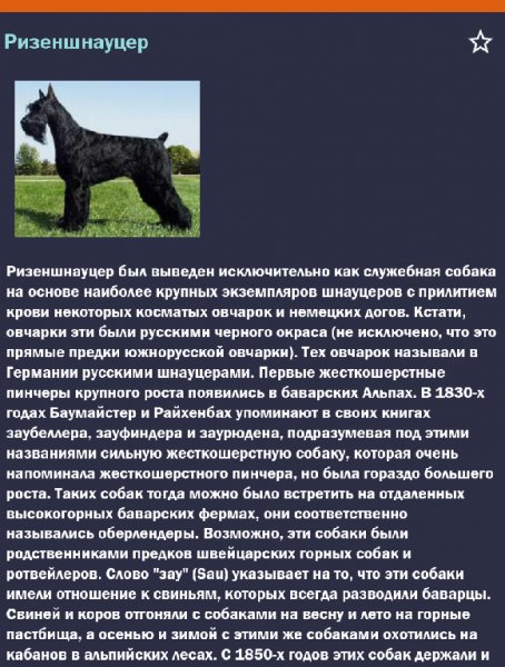 Породы собаk 1.81