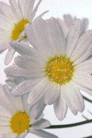 file_46993487