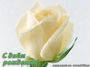 tn gallery 2 176 139715