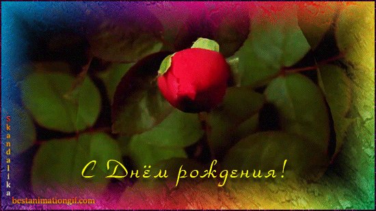 file_45681219