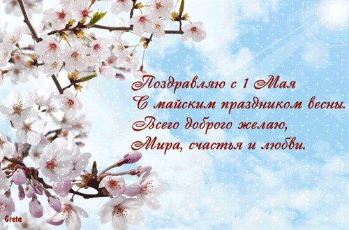 file_81321018