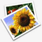 QuickPic 3.5.0.1 mod