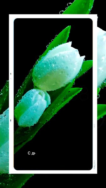 file_88508839