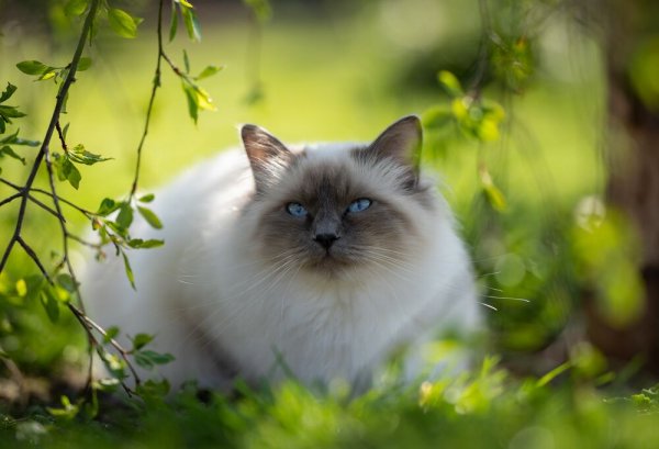 file_90104216