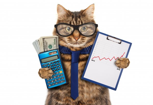 Feline Finance