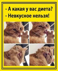 Images (7)