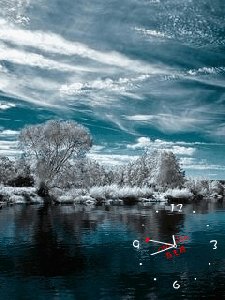 Nature ani5