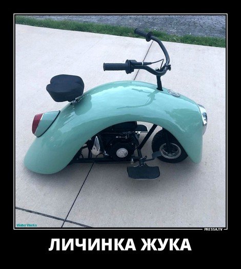 file_78512354