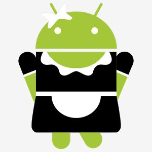 SD Maid Pro v3.1.4.4 x86