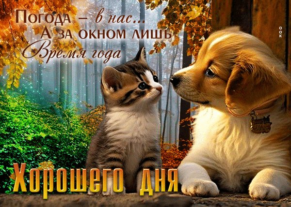 Анимированная открытка погода в нас