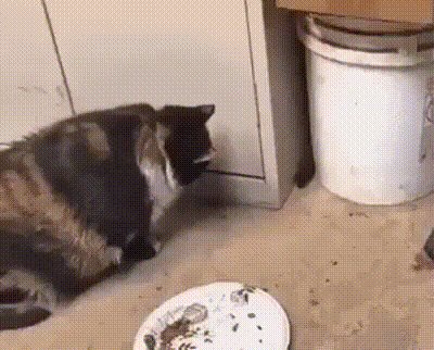 "Нет, ну ты видел?"