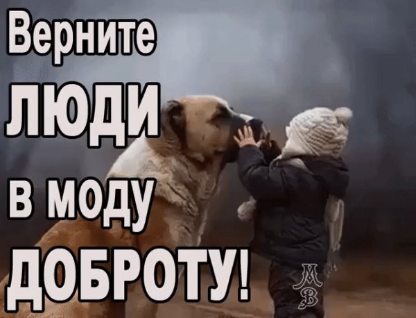 86ABAF00-EBFE-4914-BC68-EF28914447B2