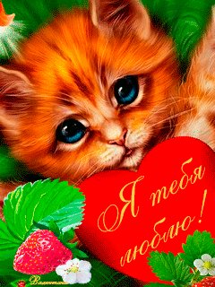 file_63395573