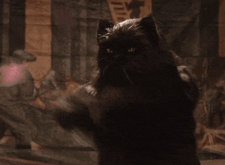 Кот Бегемот