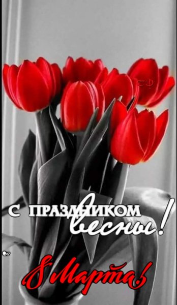 file_89899911