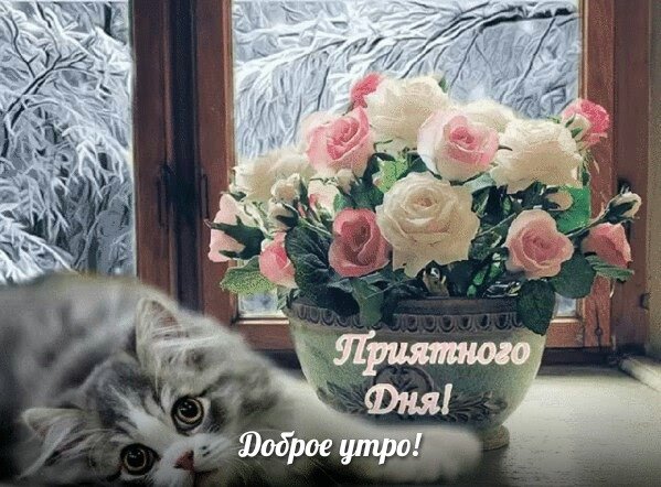 f8OhsbsSzAw