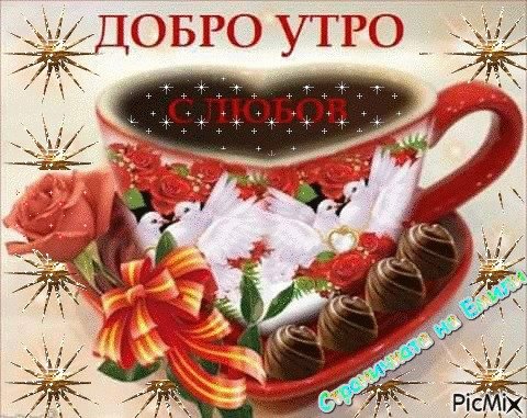 8c3a0bfb4ddc026052e20b0a58f85dd8