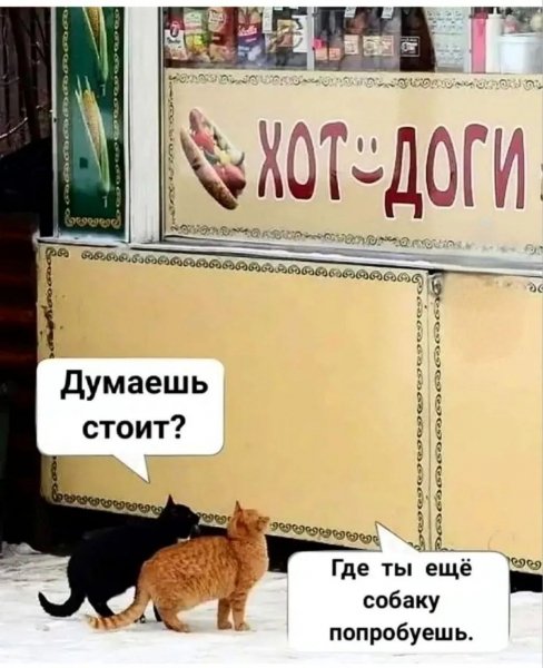 IMG 20260810 155510 217