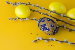 file_16247734