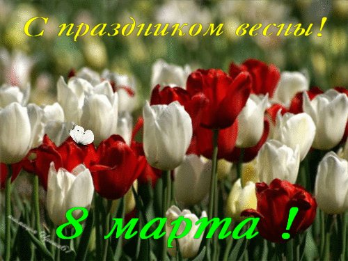 file_46038794