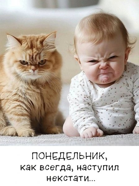 file_103369238