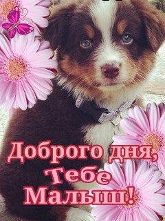 IMG 20190206 749075