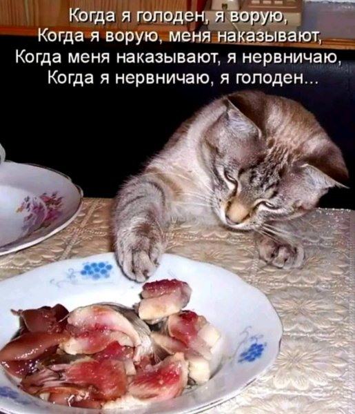 file_97105050