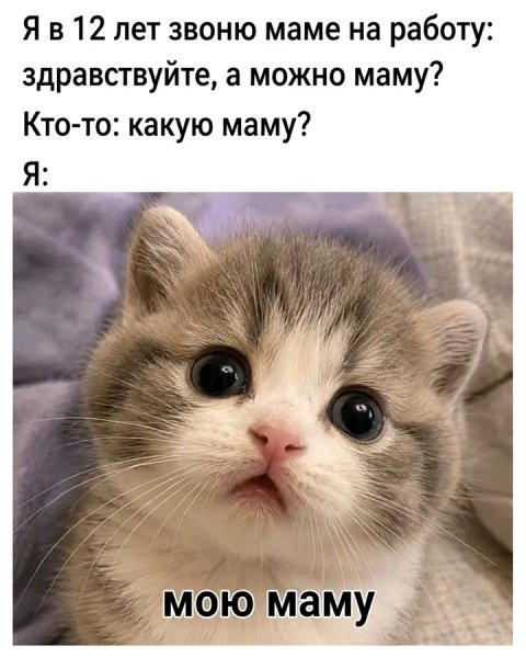 file_103189508