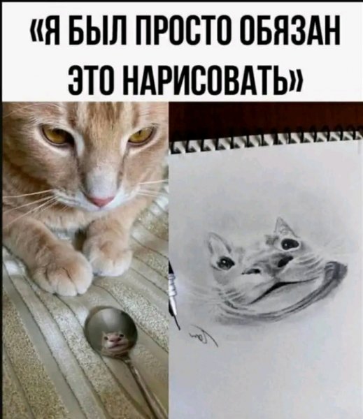file_103147693