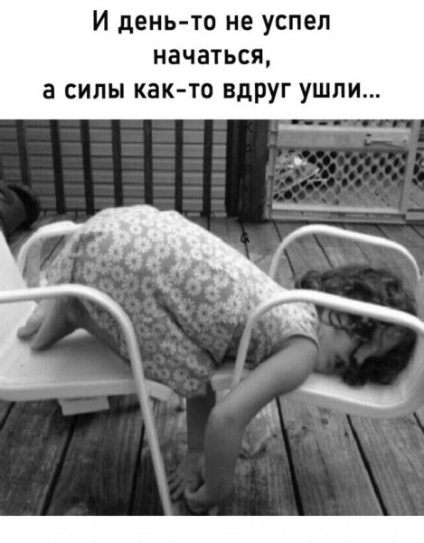 file_100299241