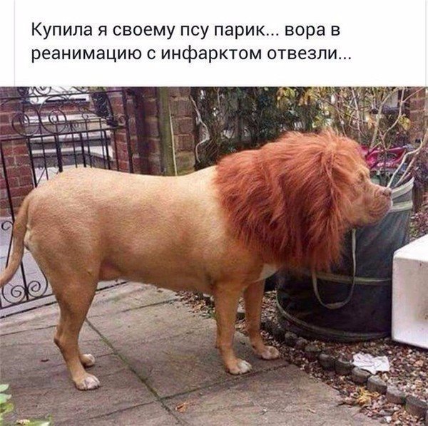 Ck2dS5vUoAACuyd