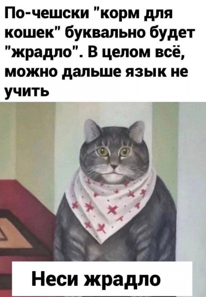 FB IMG 1760643368245