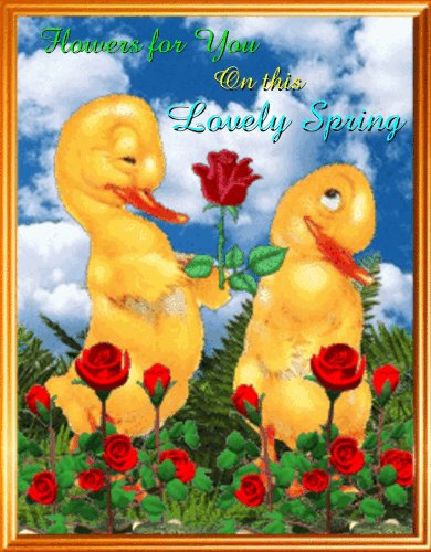 A Spring Love Card