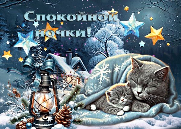 file_98889622