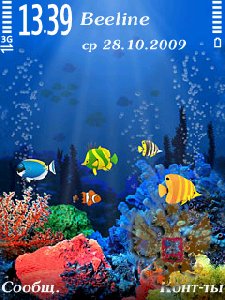 Reef Remix